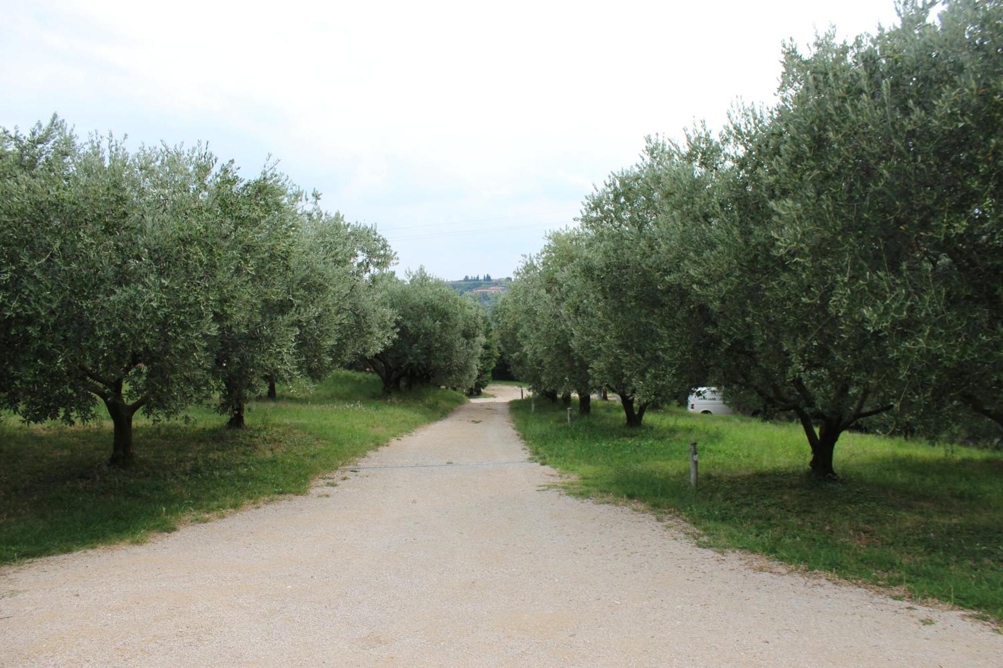 Agriturismo Spigolo Avesa Buitenkant foto